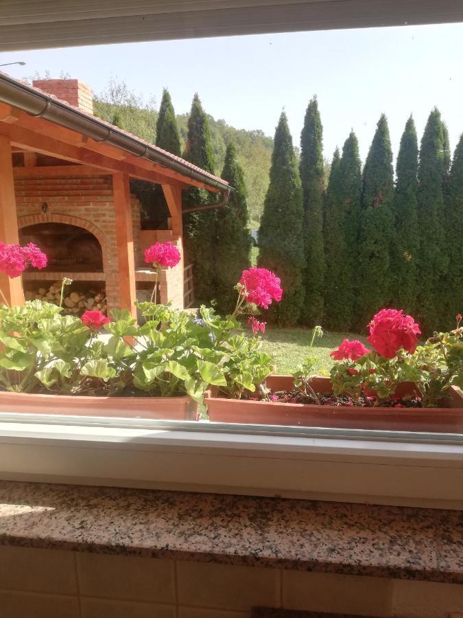 Holiday Homer Kuca Na Obali Vrbasa بانيا لوكا المظهر الخارجي الصورة